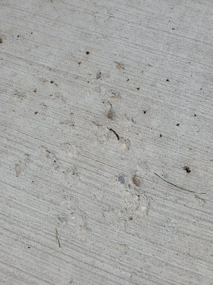 Affordable garden landscaping for outdoor upgrades across Wheeling, IL - Scaravalle Co