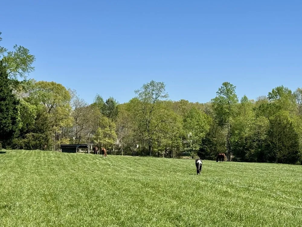 Custom garden landscaping near you in Ashland, VA by Scarborough Landpro