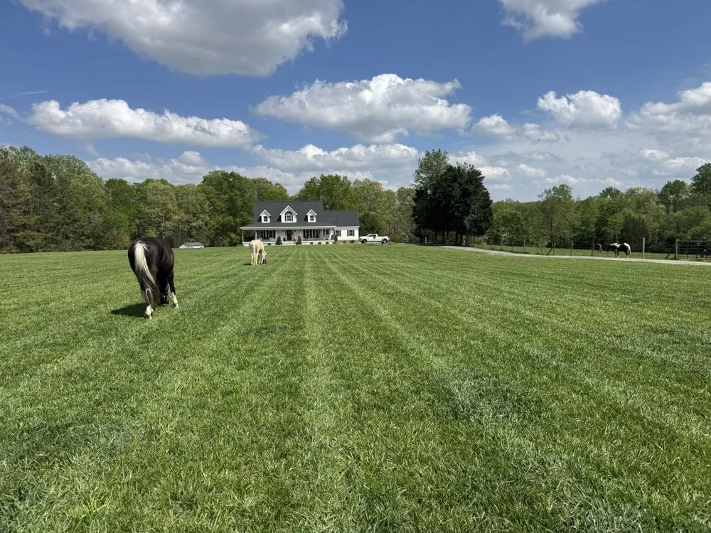 Trusted lawn care service experts serving Ashland, VA - Scarborough Landpro