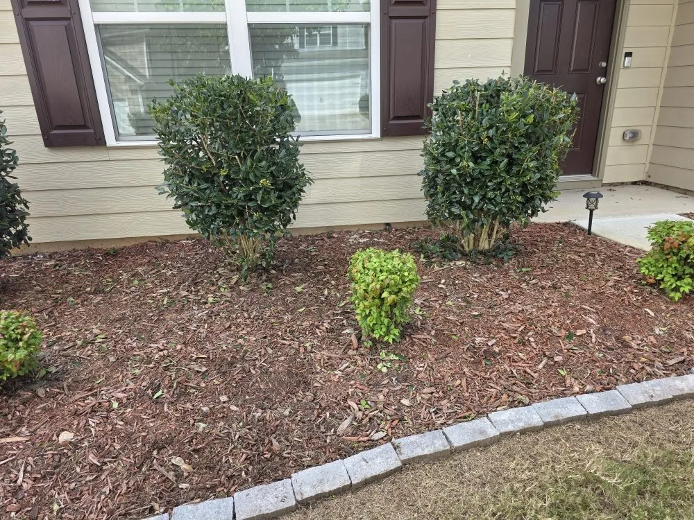 Local outdoor landscaping in Pendergrass, GA by Scarborough Lawn Care