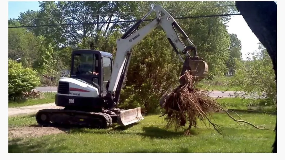 Custom yard cleanup service for year-round maintenance in Bartlett, IL by Scardino Lanscape & Design