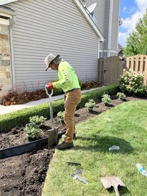 Scardino Lanscape & Design