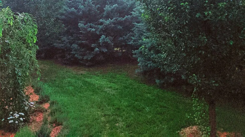 Expert garden landscaping in Warner Robins, GA by Scarlett Yardworks