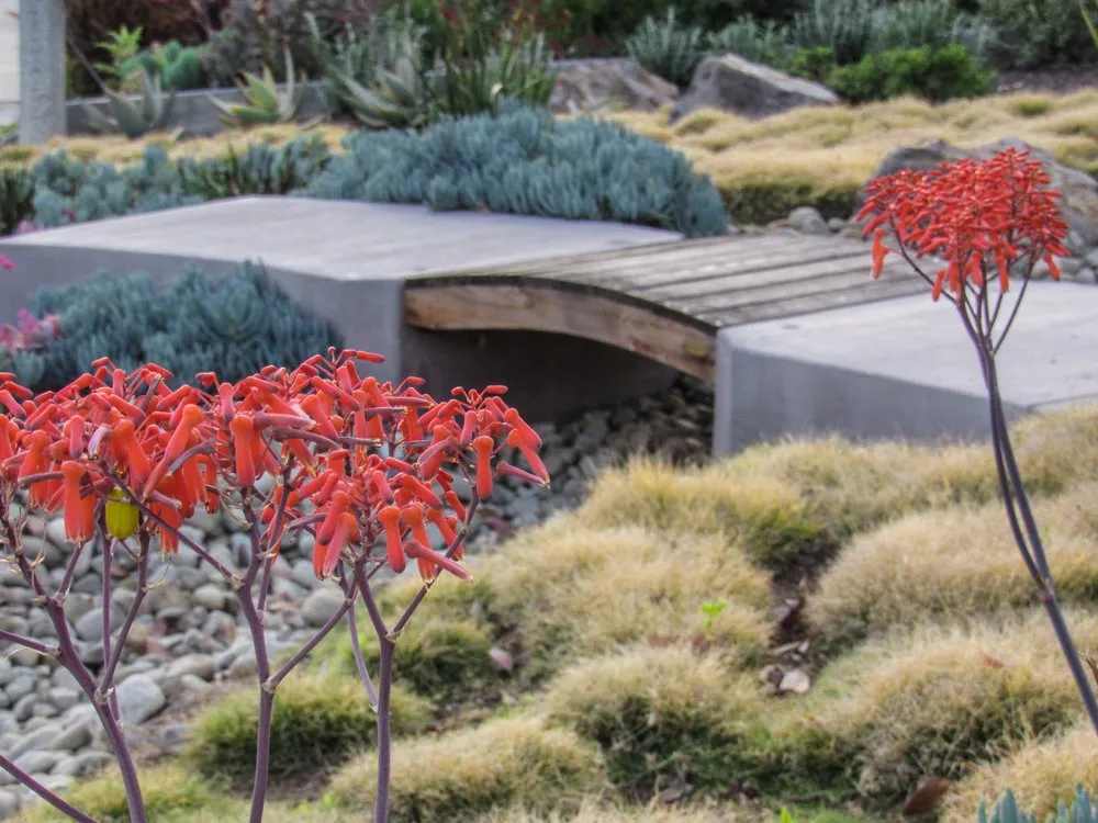 Affordable yard maintenance in Westlake Village, CA by Scarlett's Landscape, Inc