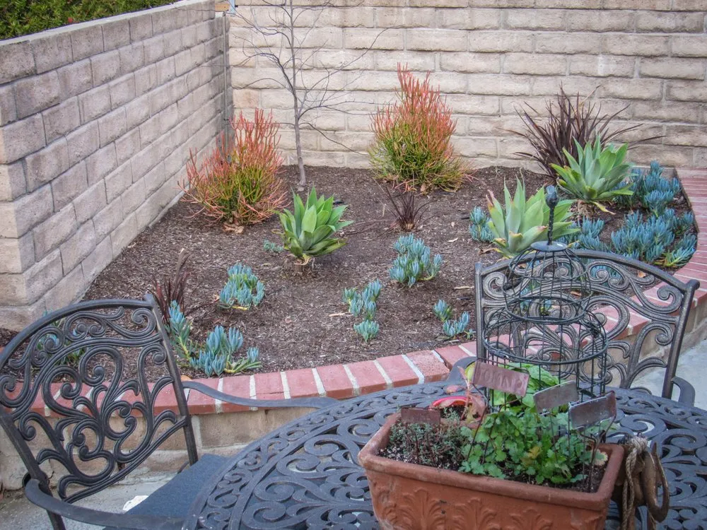 Custom yard cleanup service in Westlake Village, CA - Scarlett's Landscape, Inc