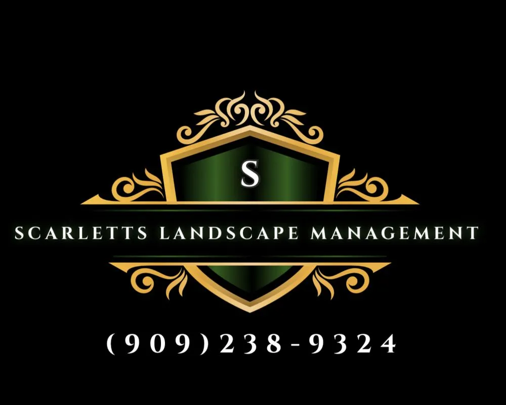 Local yard maintenance for year-round maintenance in Rancho Cucamonga, CA by Scarlett’s Landscape Management