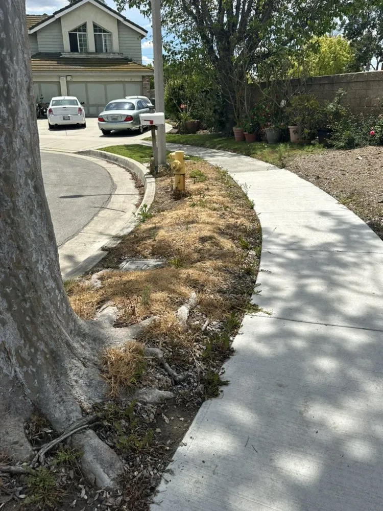 Trusted landscape design for year-round maintenance in Rancho Cucamonga, CA by Scarlett’s Landscape Management
