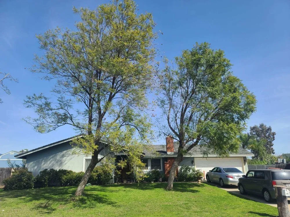 Custom residential landscaping experts serving Rancho Cucamonga, CA - Scarlett’s Landscape Management