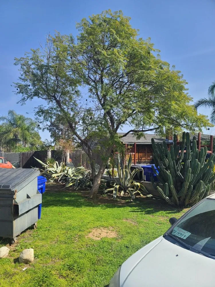 Affordable lawn mowing service for homes in Rancho Cucamonga, CA by Scarlett’s Landscape Management