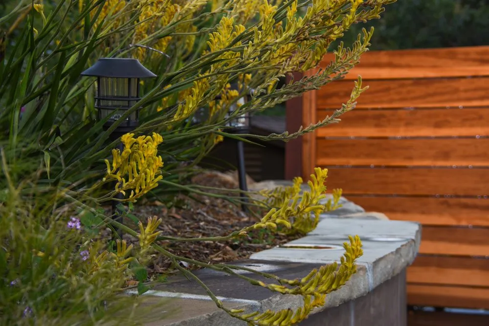 Trusted landscape installation for homes in Santa Barbara, CA by Scarlett's Landscape