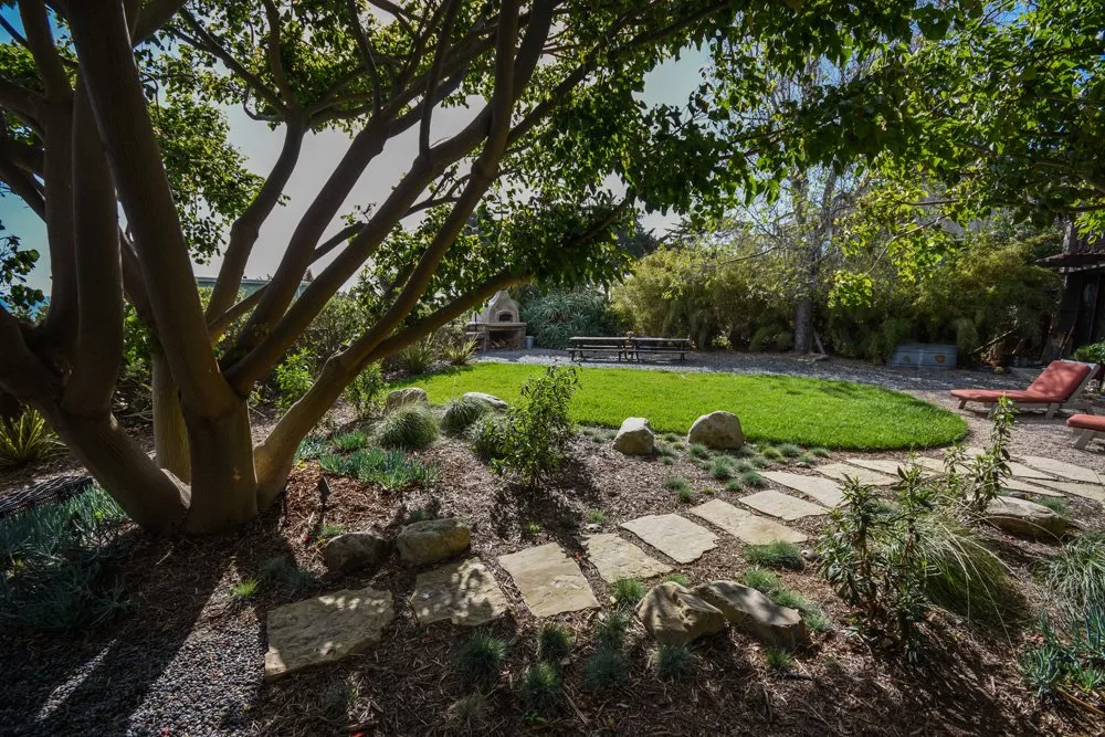 Professional yard cleanup service for year-round maintenance in Santa Barbara, CA by Scarlett's Landscape