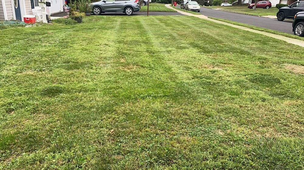Local yard maintenance experts serving Warminster, PA - Scarlett’s Lawn Care