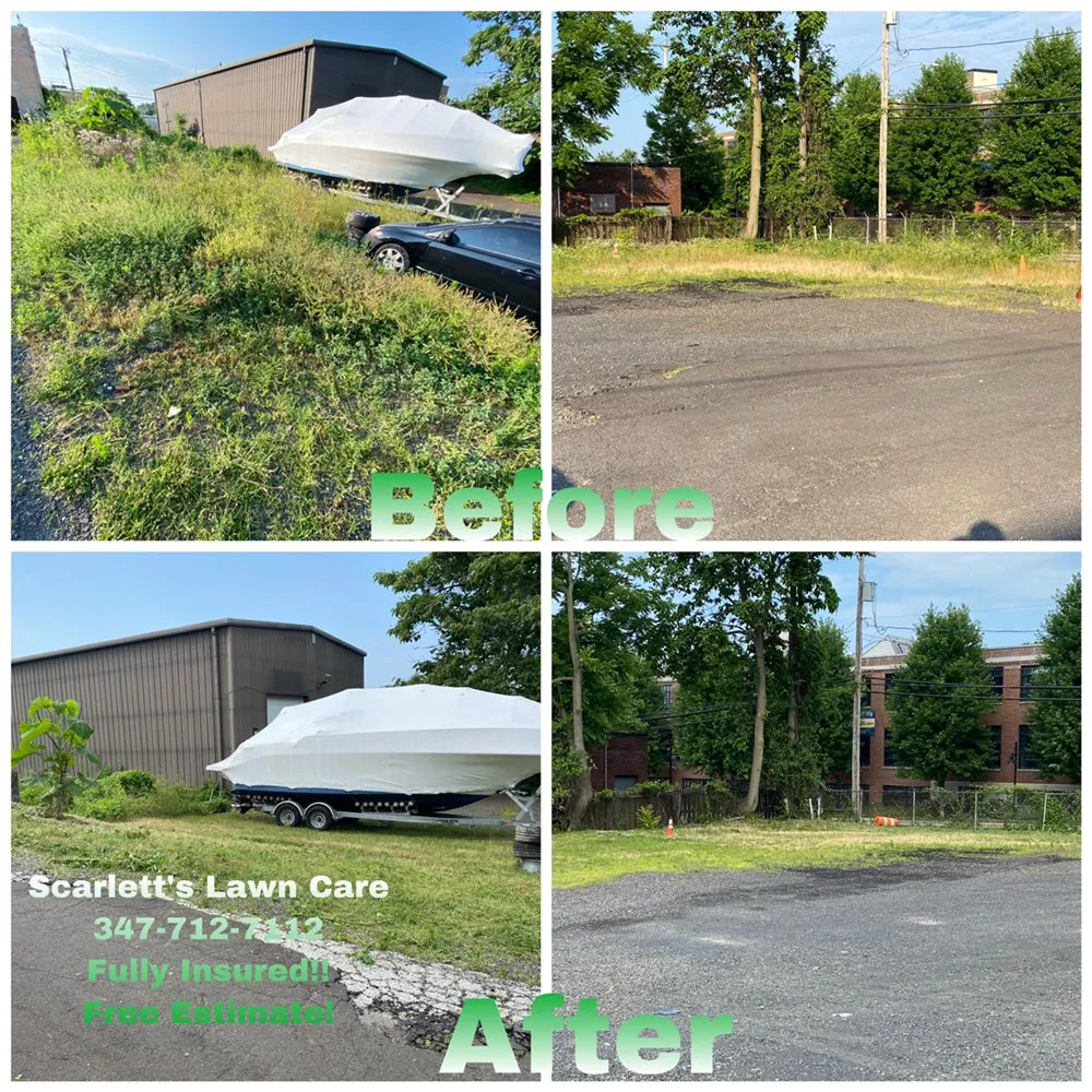 Custom yard cleanup service in Warminster, PA by Scarlett’s Lawn Care