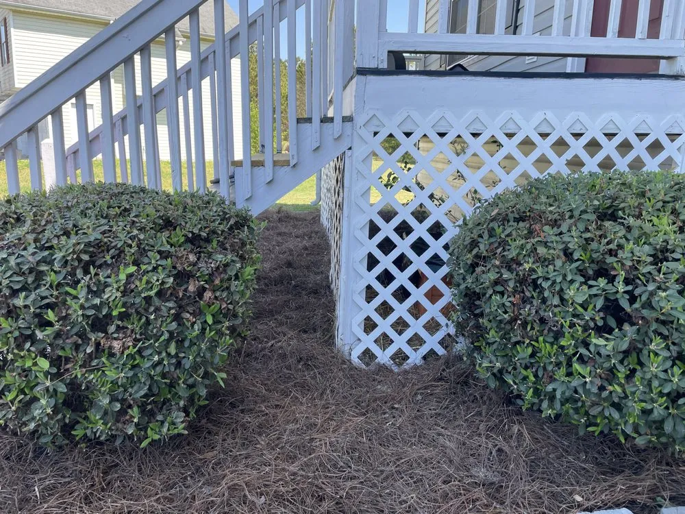 Affordable residential landscaping for outdoor upgrades in Cartersville, GA by Scary Good Lawn Care