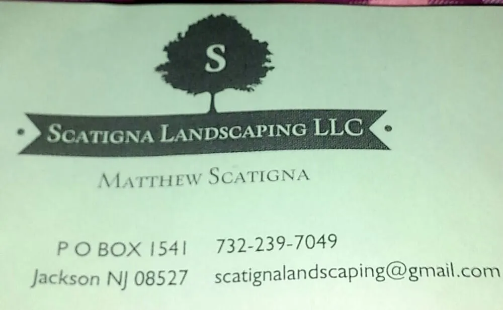 Top-rated yard maintenance near you in Jackson, NJ by Scatigna Landscaping LLC