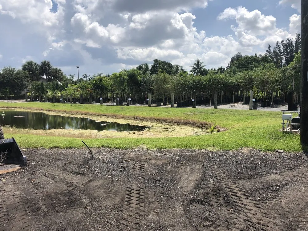 Professional landscaping services for year-round maintenance in Southwest Ranches, FL by Scc Nursery and Garden