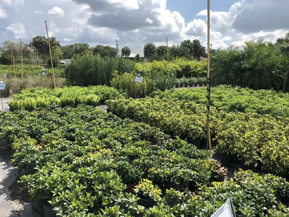 Reliable lawn mowing service in Southwest Ranches, FL by Scc Nursery and Garden