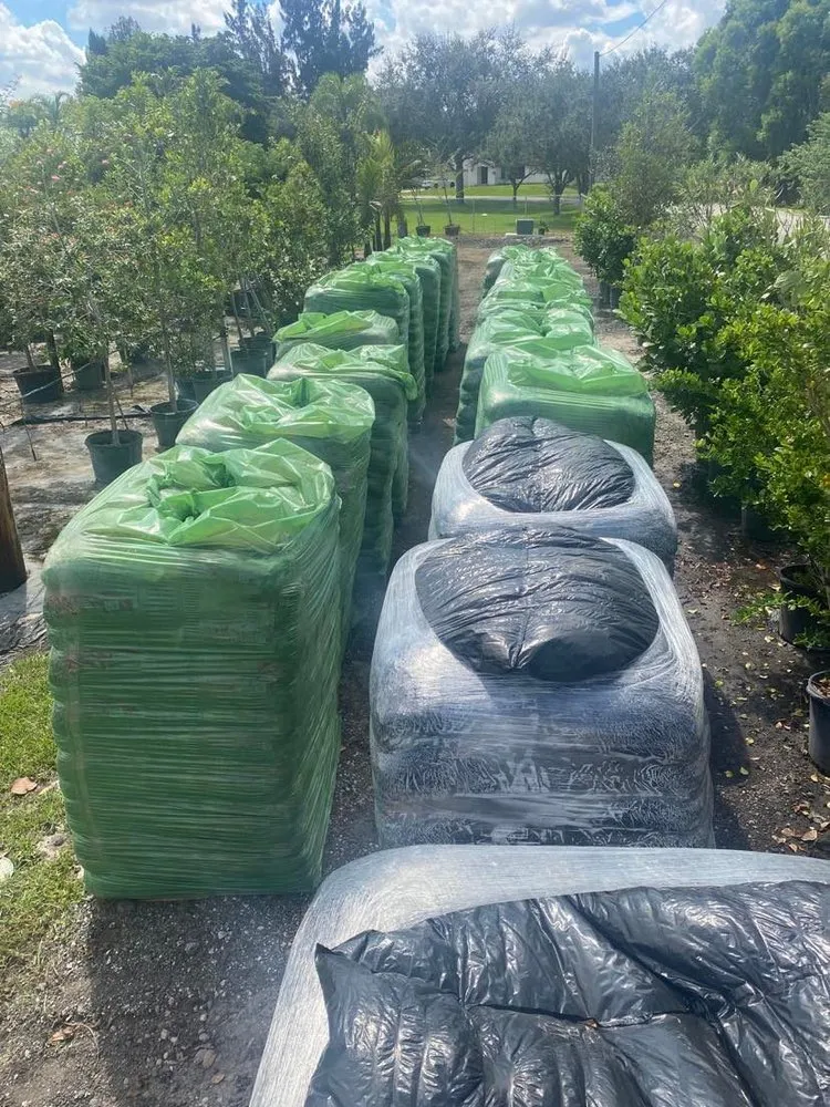 Local landscape installation experts serving Southwest Ranches, FL - Scc Nursery and Garden