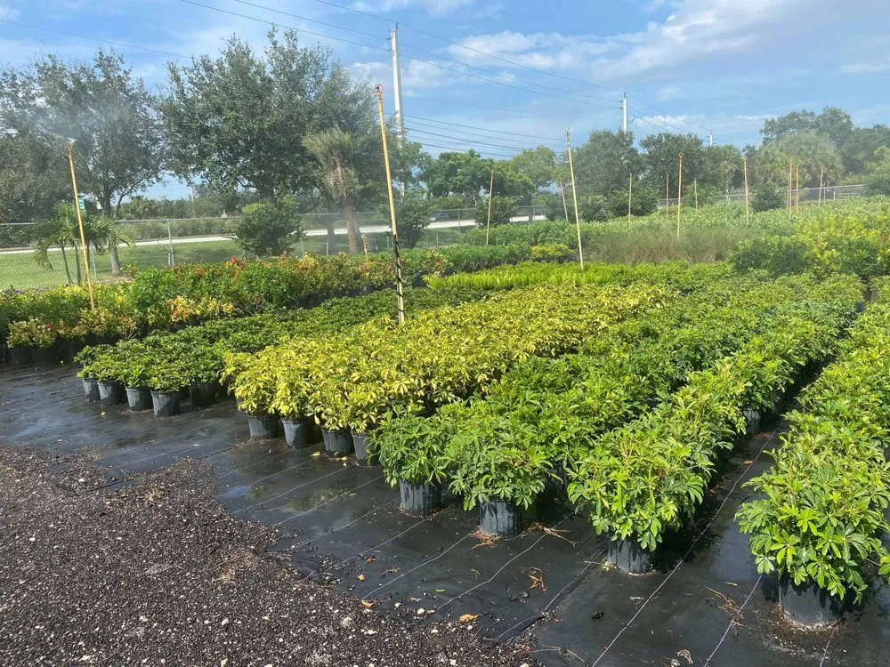 Professional landscape installation experts serving Southwest Ranches, FL - Scc Nursery and Garden