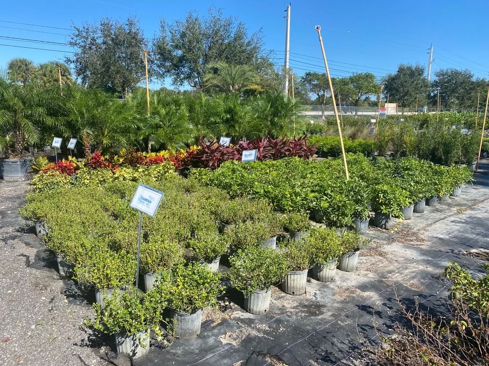 Affordable outdoor landscaping in Southwest Ranches, FL - Scc Nursery and Garden