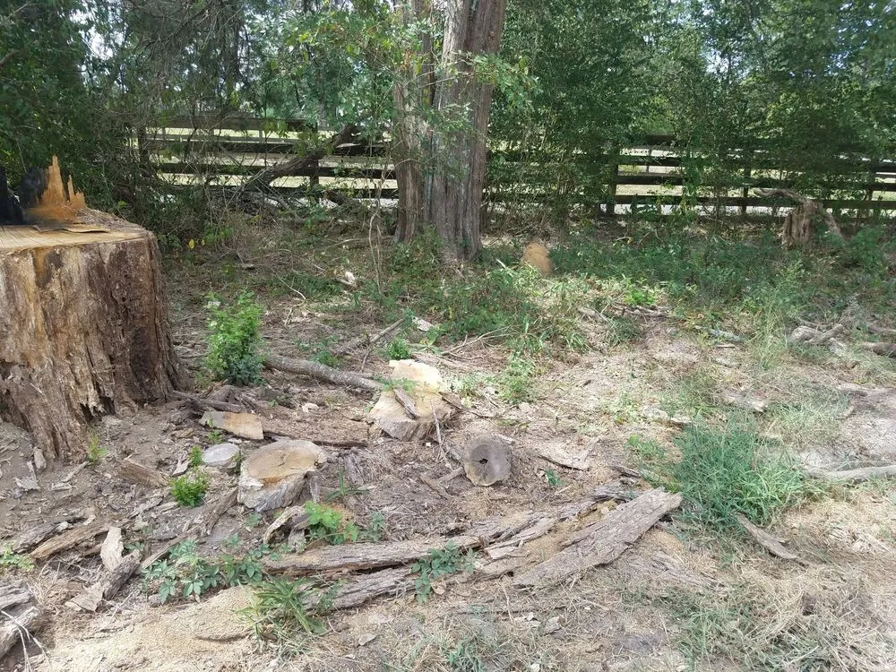 Local landscaping services in Alto, TX by SCE Landscaping/Tree Service