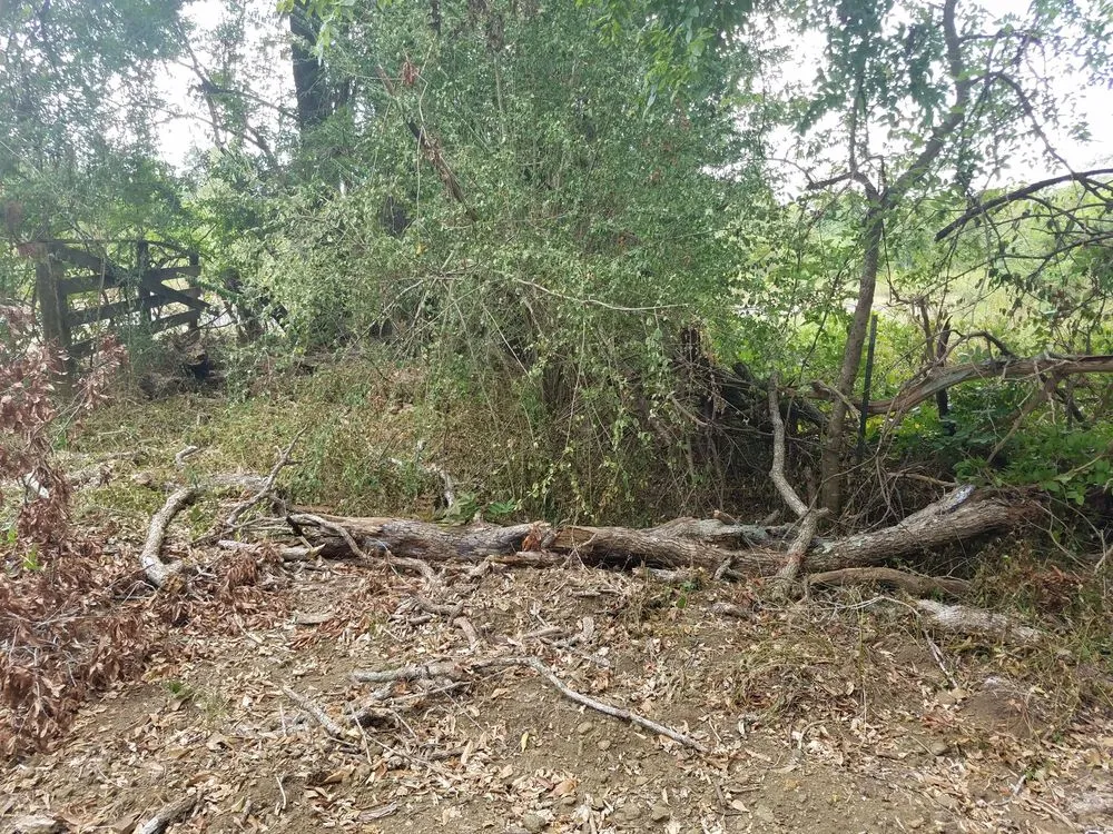 Trusted landscape design near you in Alto, TX by SCE Landscaping/Tree Service