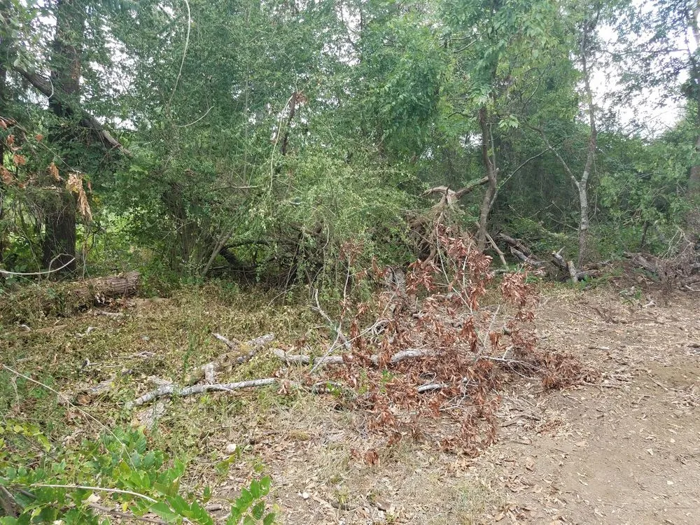 Local lawn care service with custom design in Alto, TX by SCE Landscaping/Tree Service