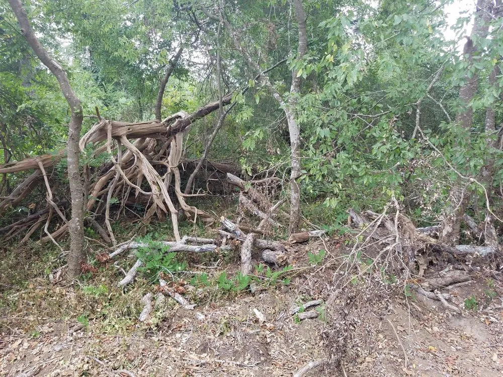 Trusted lawn care service in Alto, TX - SCE Landscaping/Tree Service