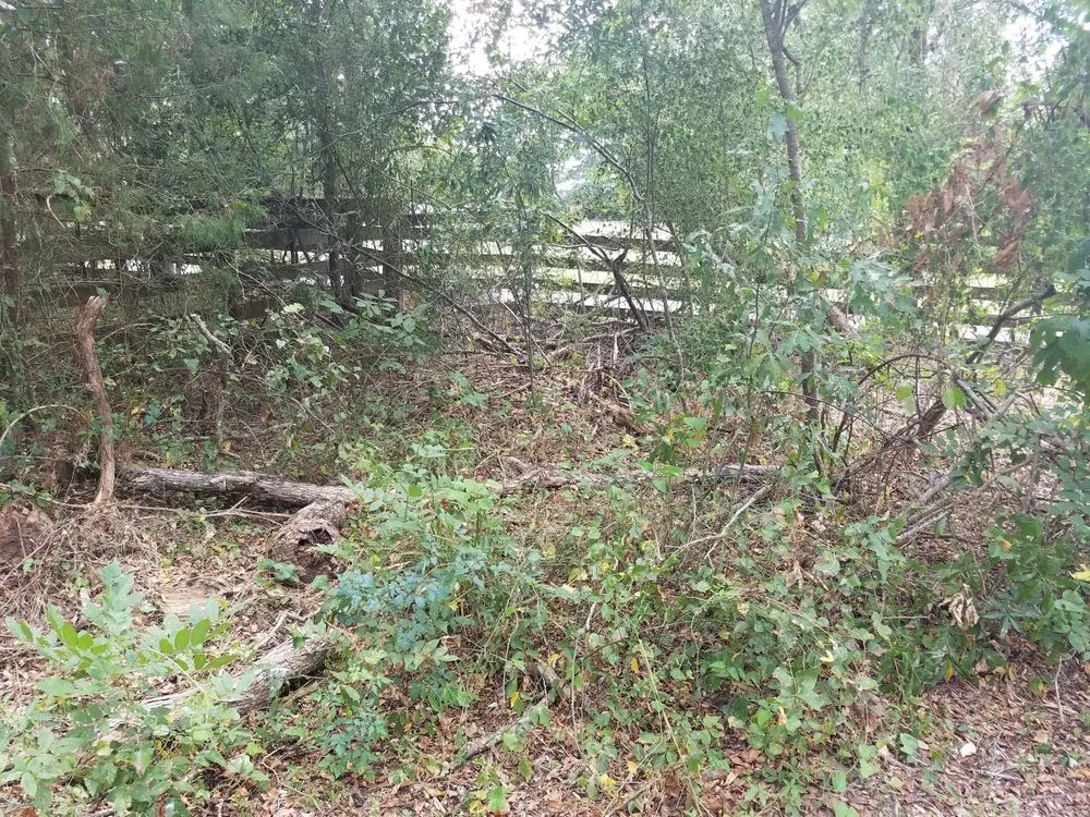 Reliable landscaping services in Alto, TX - SCE Landscaping/Tree Service