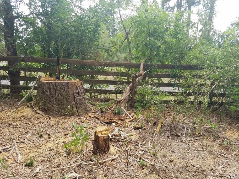 Affordable landscape design for year-round maintenance across Alto, TX - SCE Landscaping/Tree Service