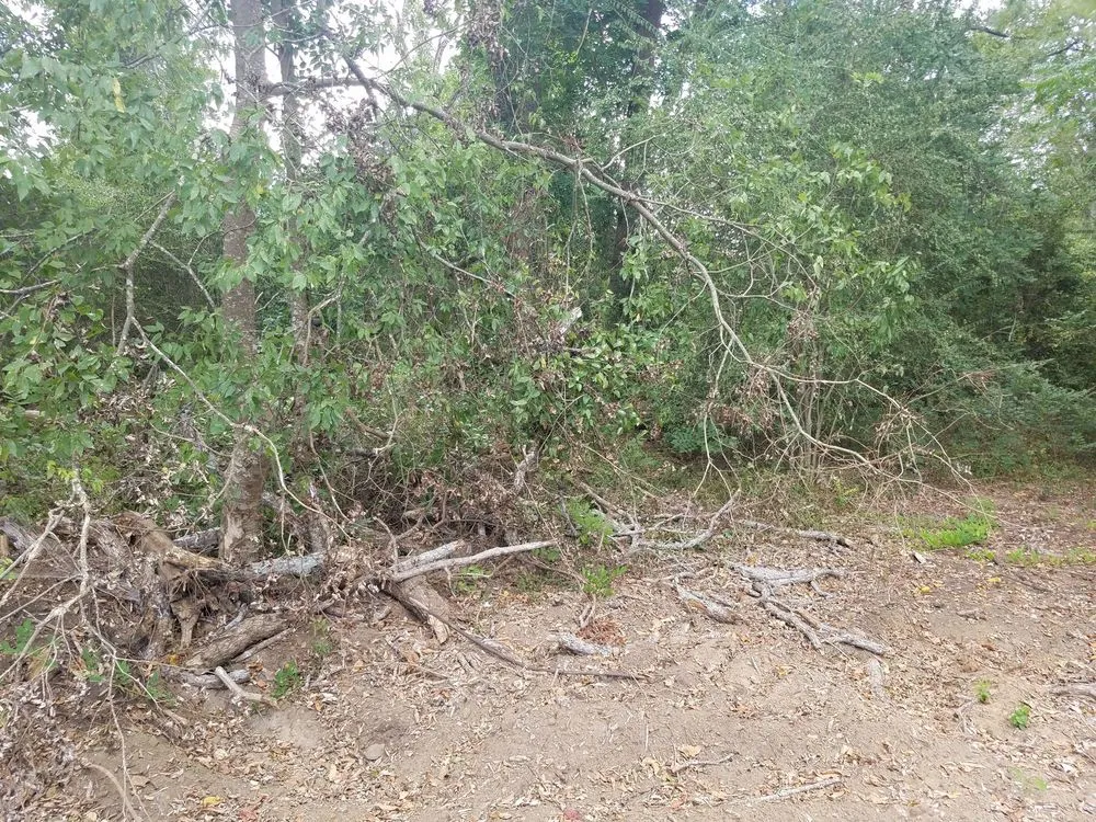 Expert outdoor landscaping for outdoor upgrades across Alto, TX - SCE Landscaping/Tree Service