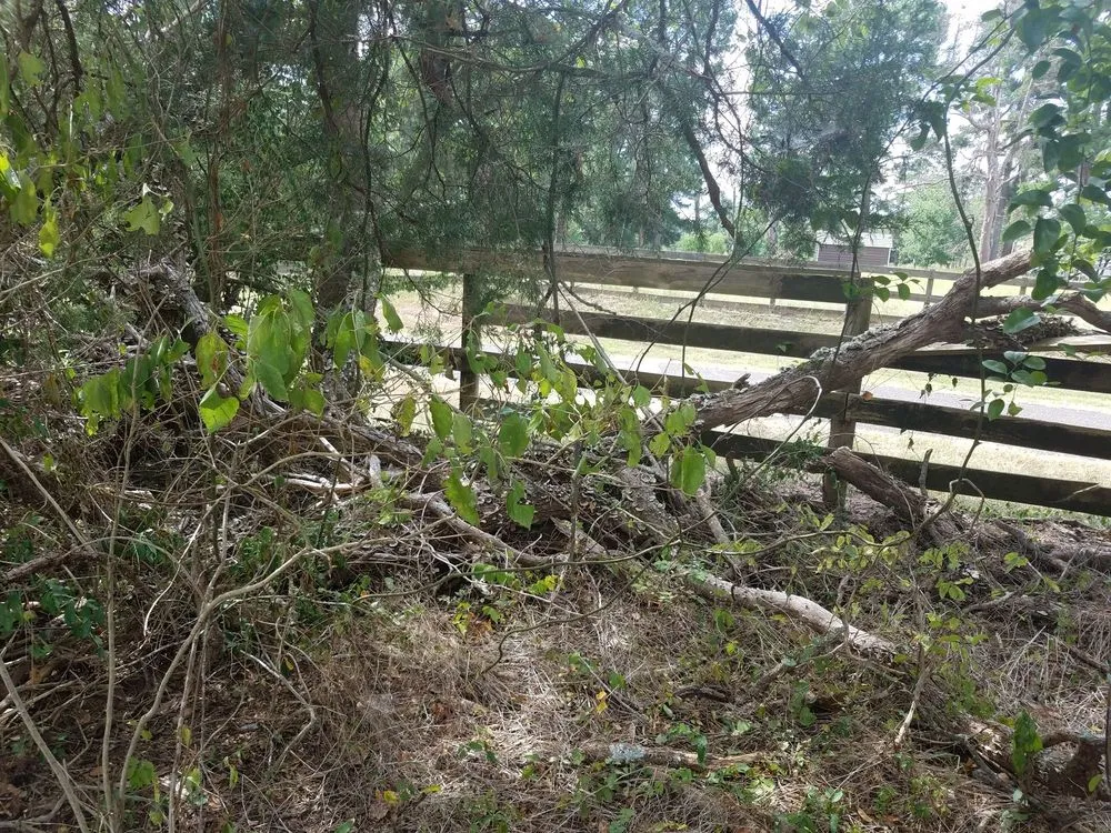 Reliable yard maintenance experts serving Alto, TX - SCE Landscaping/Tree Service