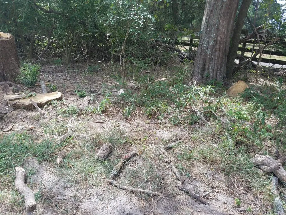 Top-rated landscape design in Alto, TX by SCE Landscaping/Tree Service