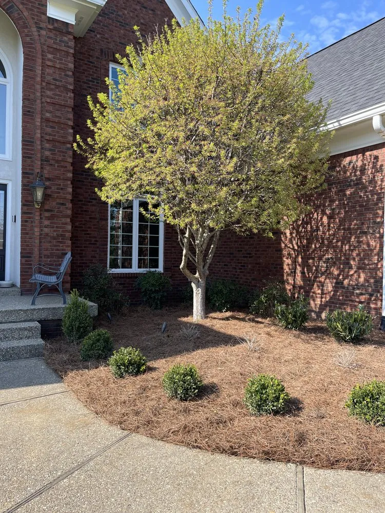 Professional landscape design in Prospect, KY - Scearce Lawncare