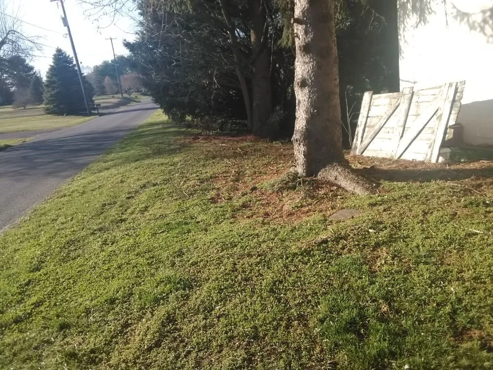 Professional outdoor landscaping in Cochranville, PA by Scenery Lawns