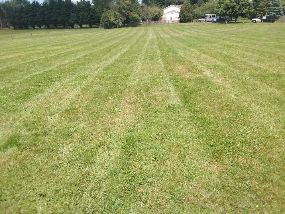 Trusted yard cleanup service for homes in Cochranville, PA by Scenery Lawns