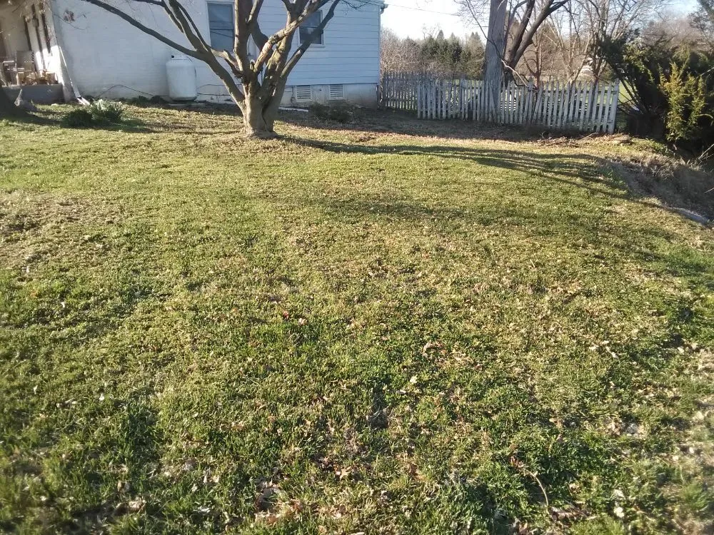 Expert residential landscaping experts serving Cochranville, PA - Scenery Lawns