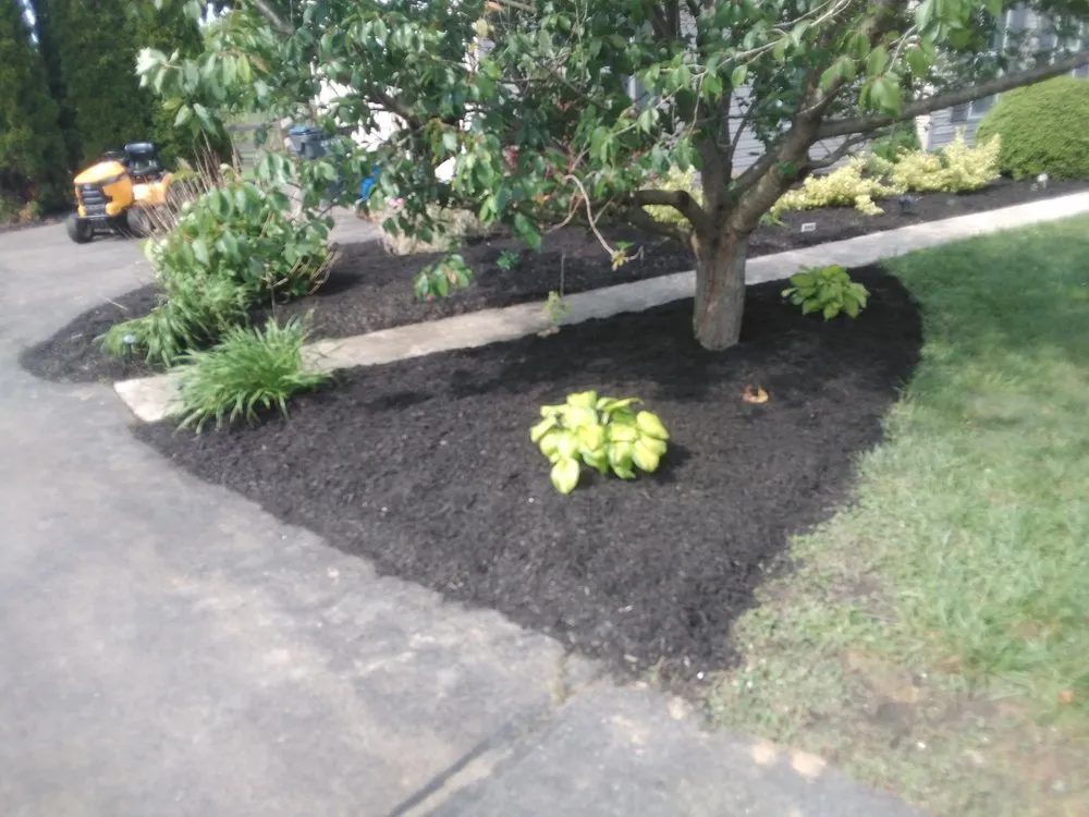 Trusted residential landscaping for beautiful yards in Cochranville, PA by Scenery Lawns