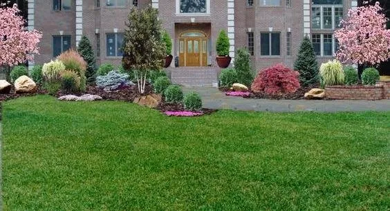 Reliable landscaping services experts serving Hackensack, NJ - Scenery Nature Landscape