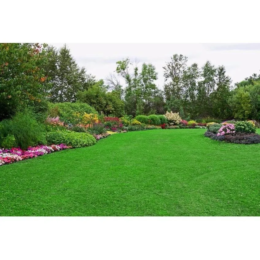 Expert lawn care service in Hackensack, NJ by Scenery Nature Landscape