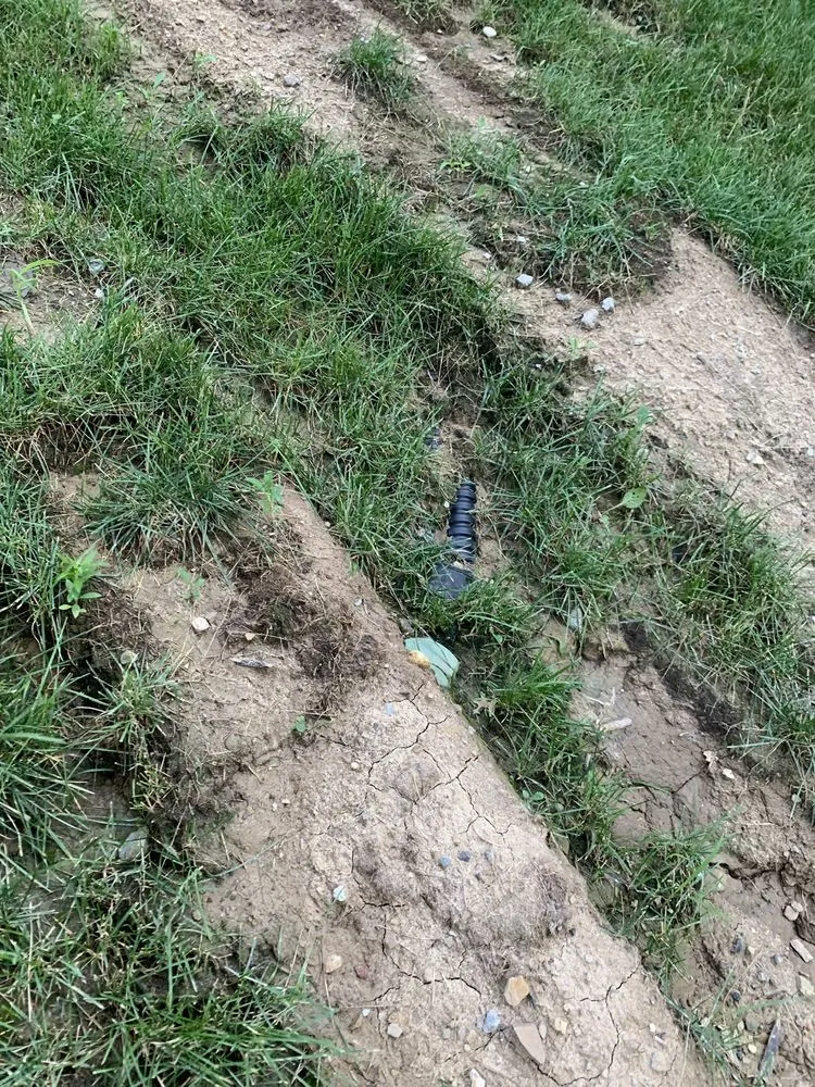 Affordable lawn mowing service experts serving Valparaiso, IN - Scenery Solutions Plus