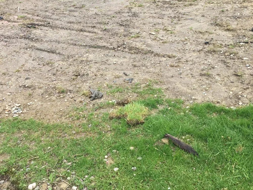 Reliable landscape installation for year-round maintenance in Valparaiso, IN by Scenery Solutions Plus