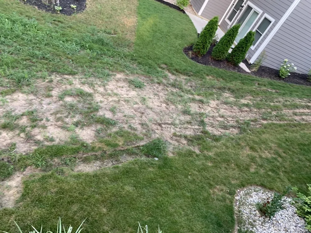 Custom landscape installation experts serving Valparaiso, IN - Scenery Solutions Plus