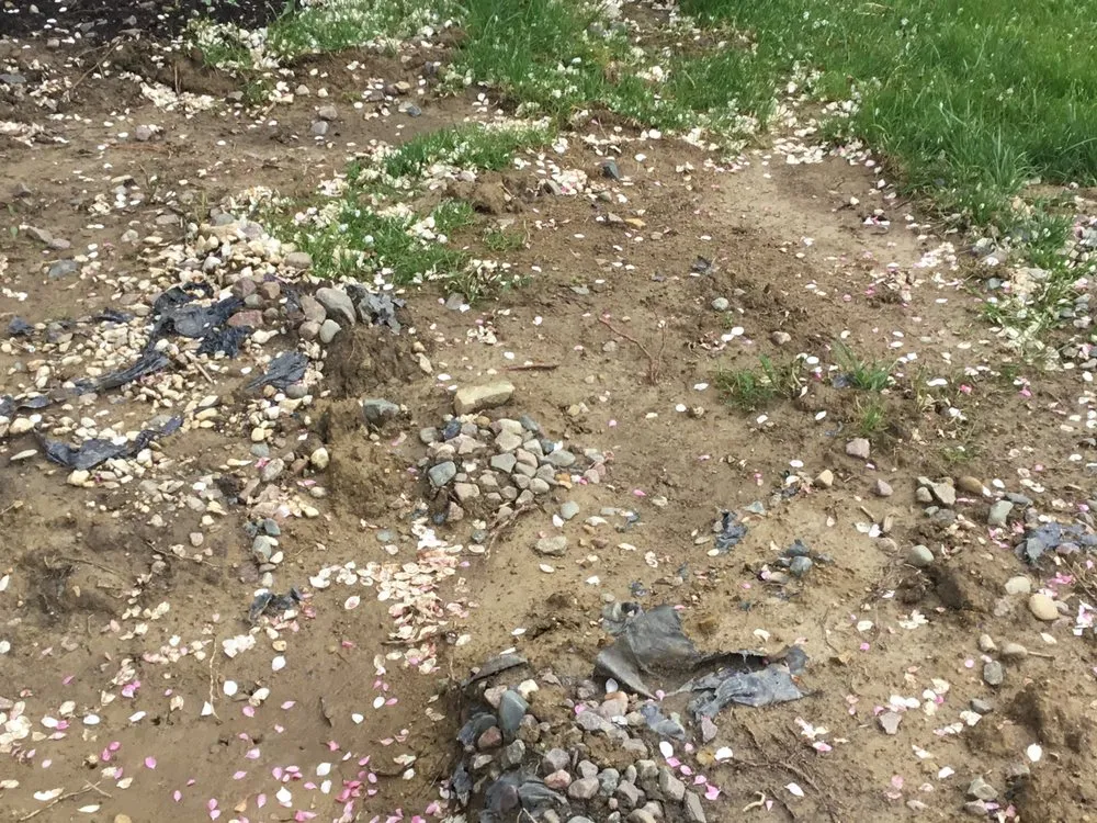 Local residential landscaping in Valparaiso, IN by Scenery Solutions Plus