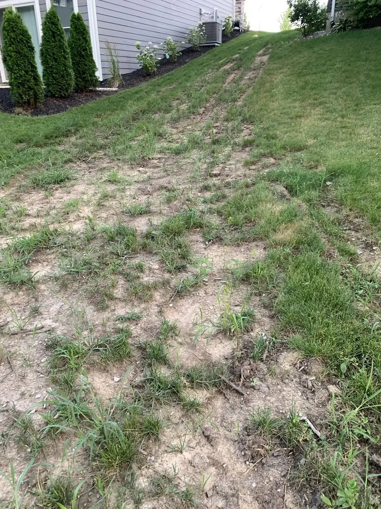 Expert landscaping services in Valparaiso, IN - Scenery Solutions Plus