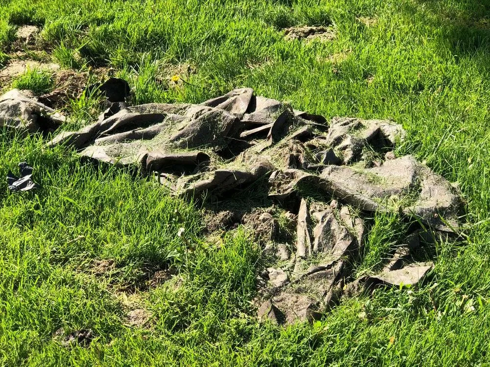 Custom yard cleanup service for outdoor upgrades across Valparaiso, IN - Scenery Solutions Plus