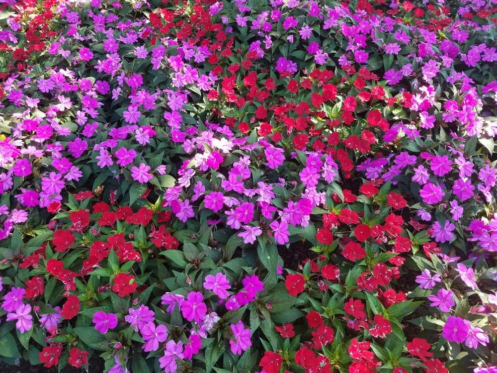 Reliable residential landscaping for outdoor upgrades across Stockton, NJ - Scenic Concepts Landscaping
