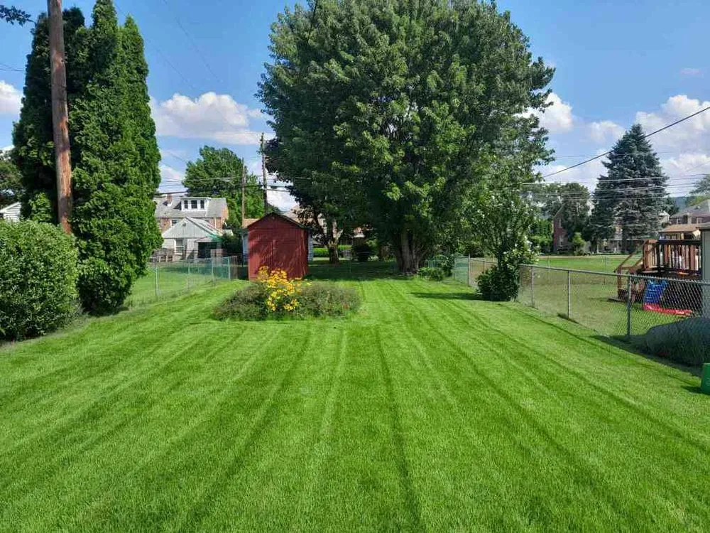 Top-rated residential landscaping in Allentown, PA - Scenic Edge Lawn Care