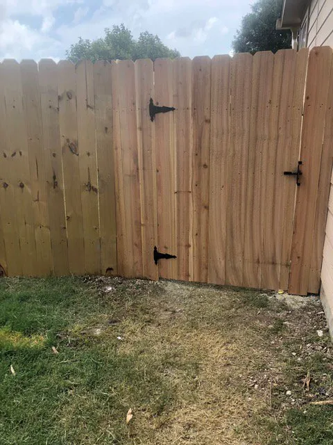 Trusted landscape design for beautiful yards across San Antonio, TX - Scenic Elegance Landscaping