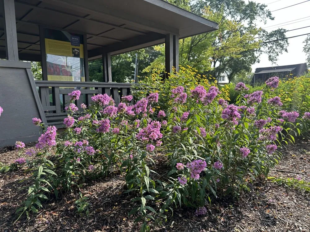 Trusted lawn mowing service for year-round maintenance across Indianapolis, IN - Scenic Green